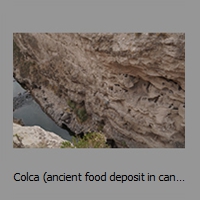 Colca (ancient food deposit in canyon walls for protecting and cooling) near Coporaqe